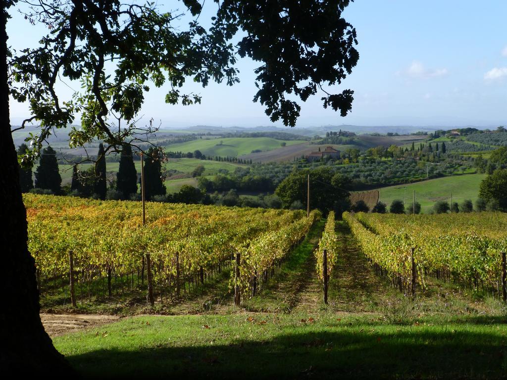 Fattoria Del Colle Villa Trequanda Buitenkant foto